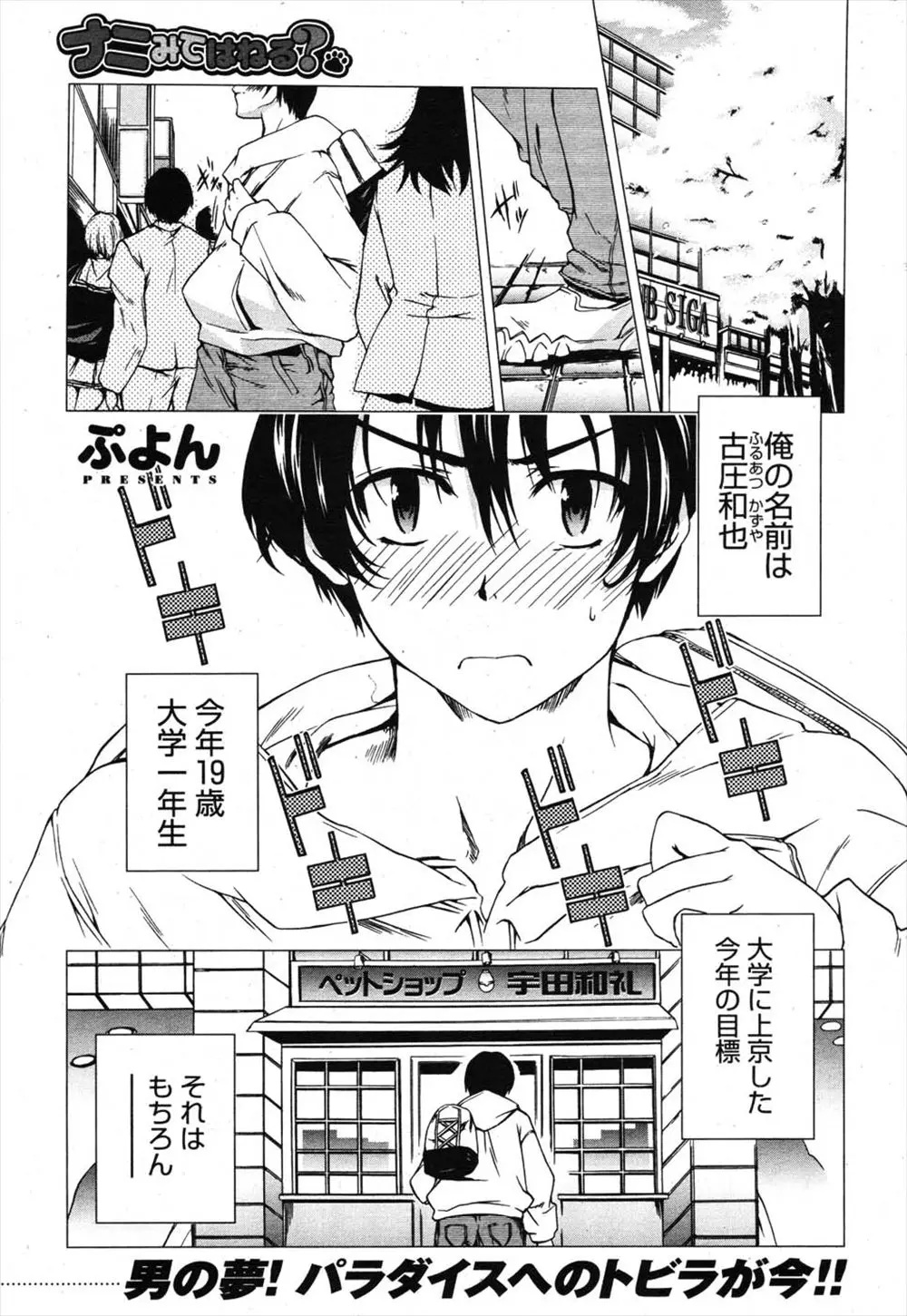 【エロ漫画】今年の目標は脱・童貞の男はペットショップでケモミミっ娘の卵を購入。温めている間にご主人様と呼ばれセックス三昧のご奉仕プレイを妄想してしまう！