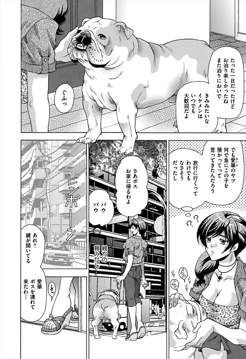 【エロ漫画】友達の旦那のインポを治す為、彼女を拘束して旦那の目の前で獣姦をさせる。旦那のチンコを罵倒しながら足コキしてあげる淫乱お姉さんは、夫婦の変態セックスを見届ける