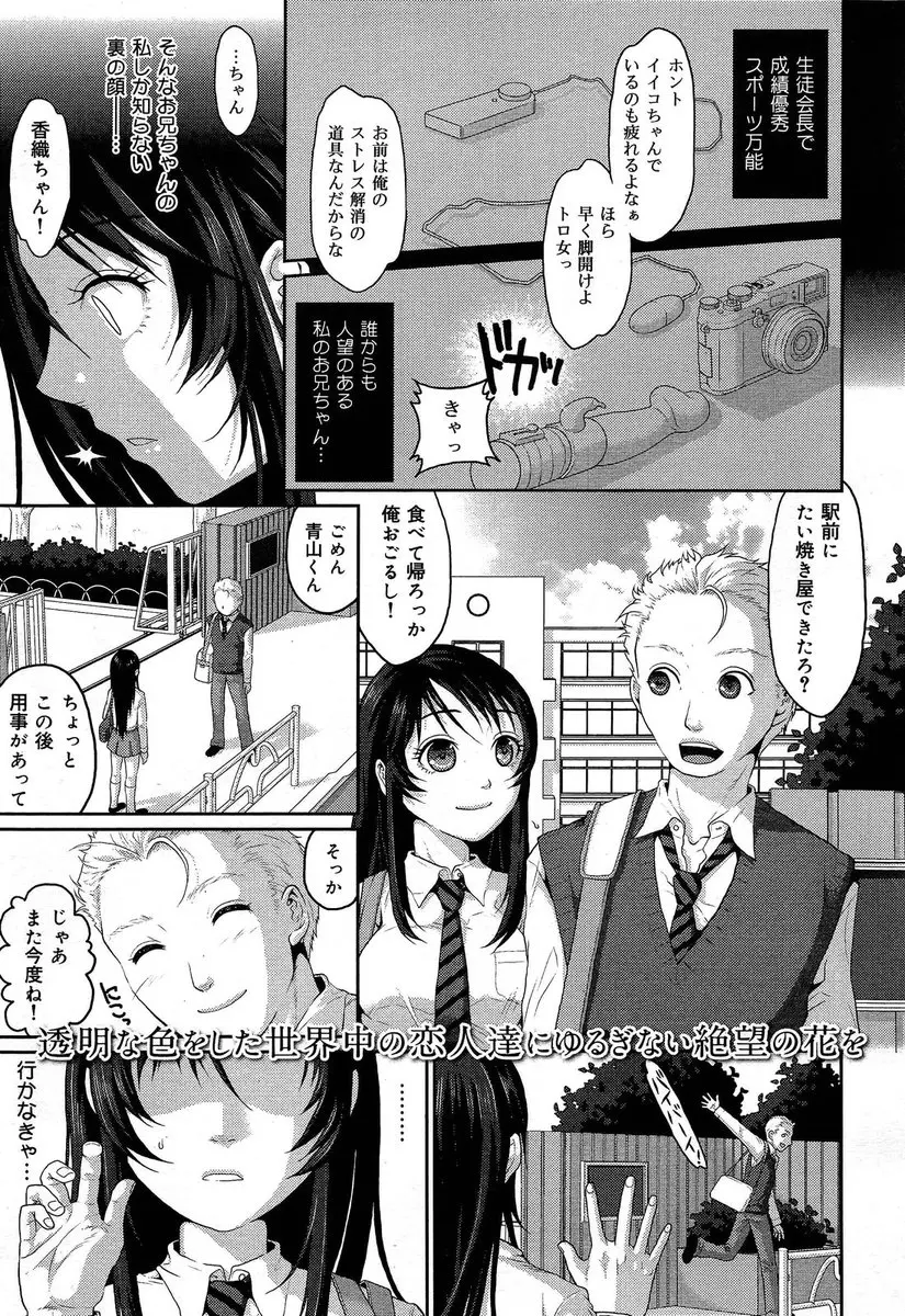 【エロ漫画】バイブオナニーを盗撮されて、変態お兄ちゃんに調教されるJKの妹ちゃん。おちんちんをフェラチオして顔射ぶっかけを。ノーパンノーブラでブルマに着替えさせられた彼女は乳首を弄られ。近親相姦で中出しを。しかもそんな姿を大好きな彼に見られるのだが…