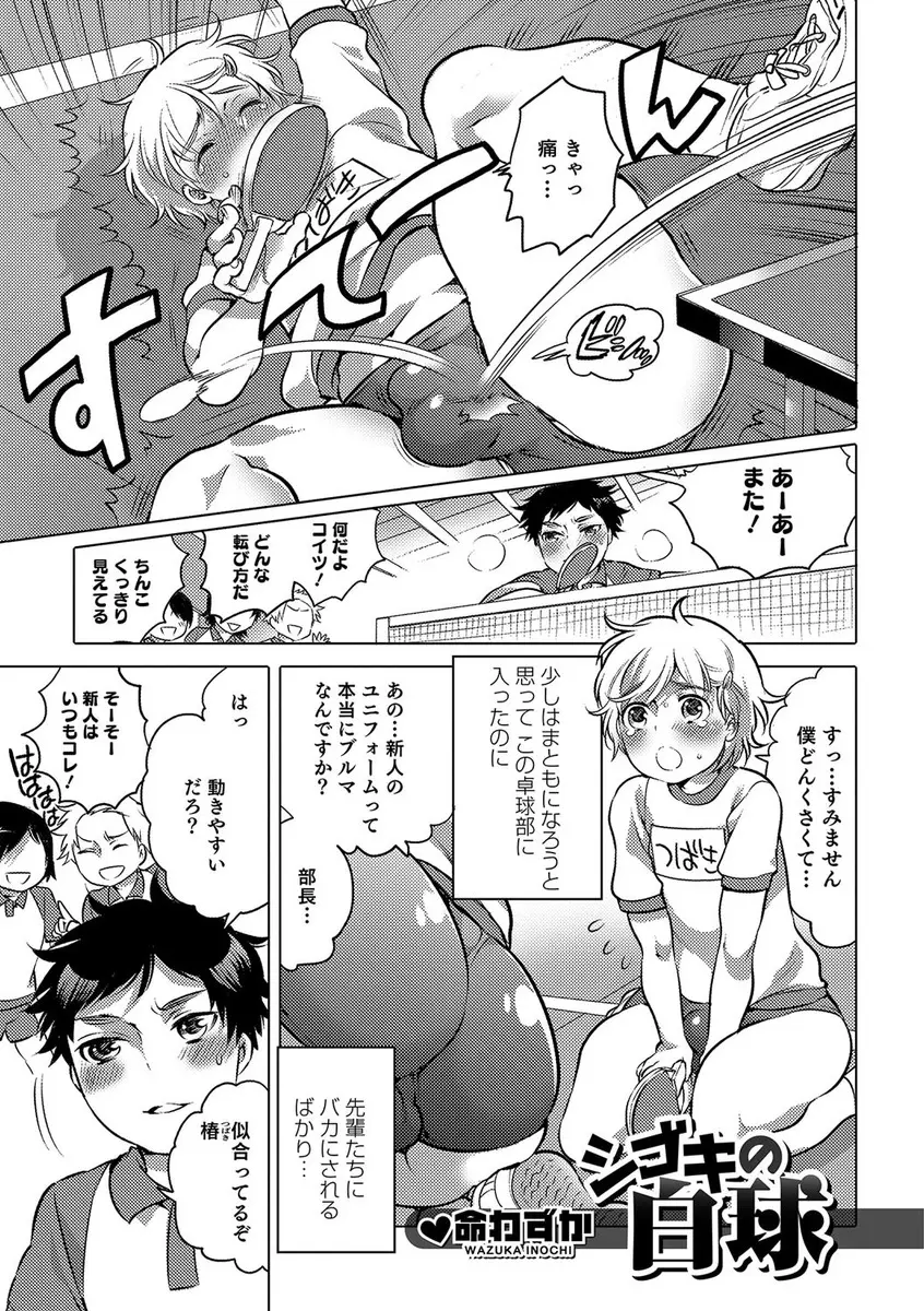 【エロ漫画】卓球部の部長とエッチな特訓をさせられる男の娘。ブルマで勃起したおちんちんを虐められながら、ピンポン玉でアナルを調教されて。さらにアナルファックでお尻に中出しされて雌イキしてしまう