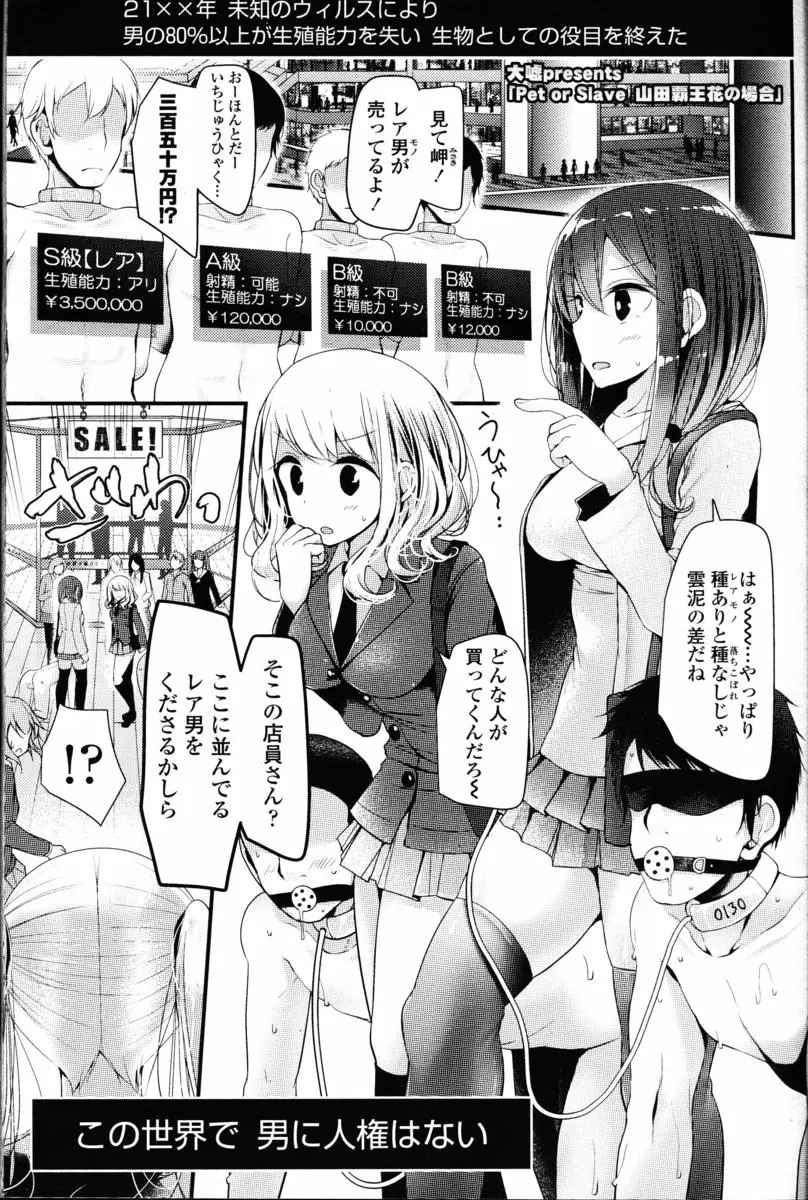 【エロ漫画】男に人権はなく、射精できる男がお嬢様に買われて調教される。ストッキングで蒸れた足をしゃぶらされて、顔面騎乗でクンニご奉仕をしながら足コキまでされる男。飲尿プレイでおしっこを飲んで、アナルファックでザーメンを搾られるまでは良かったが…