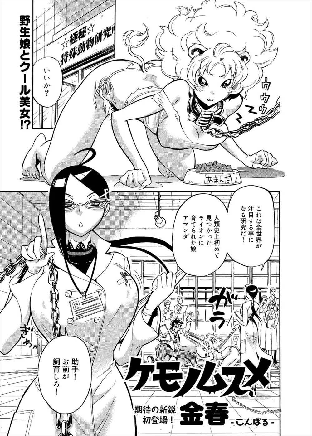 【エロ漫画】野生娘を捕らえ餌付けをしようとしたら発情した野生娘にフェラをされおしっこでマーキングされてしまう！亀頭を責められ騎乗位挿入するとフェロモンで発情した教授に巨乳でパイズリされ3Pセックス！